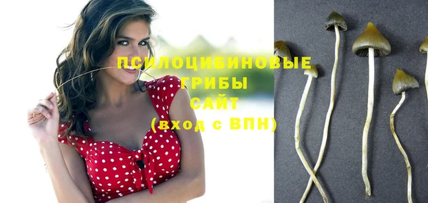 дурь Алексеевка