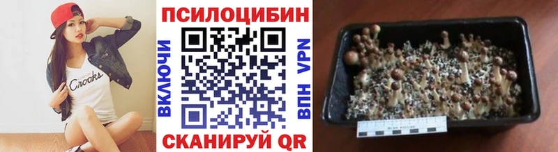 Псилоцибиновые грибы MAGIC MUSHROOMS  Ардон 